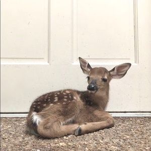 Meet your Posher, Mae